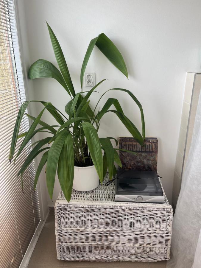 Apartman Michaela Turnov Buitenkant foto