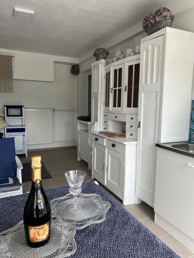 Apartman Michaela Turnov Buitenkant foto